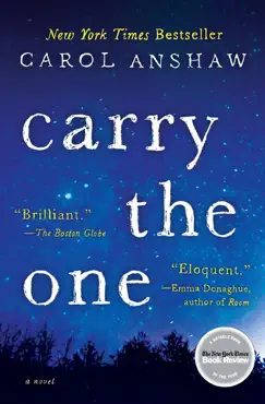 carry the one book cover image