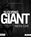 Sleeping Giant Core Team Workbook synopsis, comments