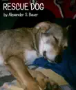 Rescue Dog synopsis, comments
