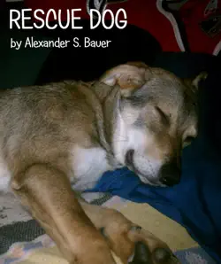 rescue dog book cover image