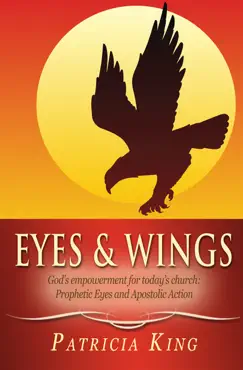 eyes and wings book cover image