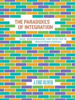the paradoxes of integration book cover image