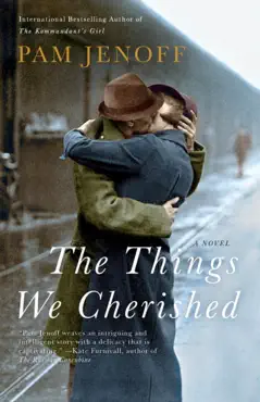 the things we cherished book cover image