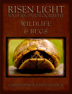risen light nature photography of wildlife & bugs book cover image