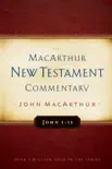 John 1-11 MacArthur New Testament Commentary synopsis, comments