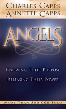 angels book cover image
