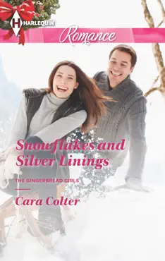 snowflakes and silver linings book cover image