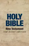 Holy Bible synopsis, comments