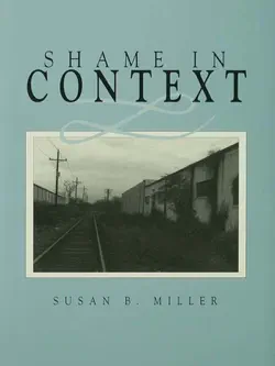 shame in context book cover image