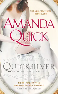 quicksilver book cover image