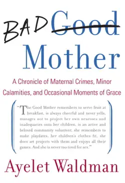 bad mother book cover image