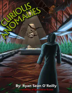 curious anomalies book cover image