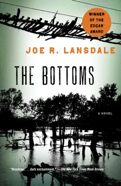 the bottoms book cover image