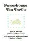 Powerhouse the Turtle synopsis, comments