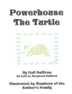 powerhouse the turtle book cover image