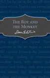 The Boy and the Monkey synopsis, comments