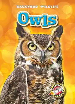 owls book cover image