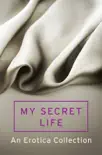 My Secret Life synopsis, comments