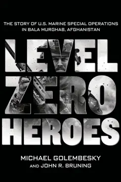 level zero heroes book cover image