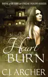 Heart Burn synopsis, comments