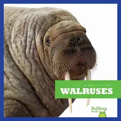 walruses book cover image