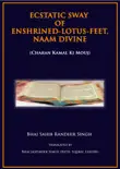 Ecstatic Sway of Enshrined-Lotus-Feet, Naam Divine synopsis, comments