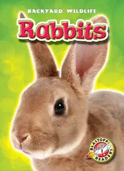 rabbits book cover image