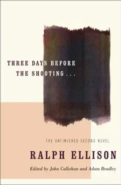 three days before the shooting . . . book cover image