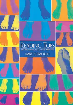 reading toes book cover image