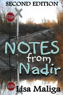 notes from nadir book cover image