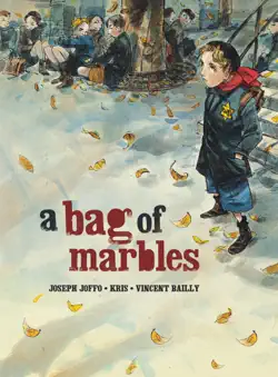 a bag of marbles book cover image