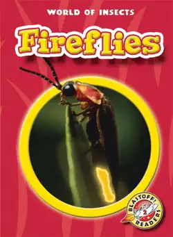 fireflies book cover image