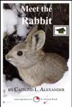 Meet the Rabbit: A 15-Minute Book for Early Readers, Educational Version sinopsis y comentarios