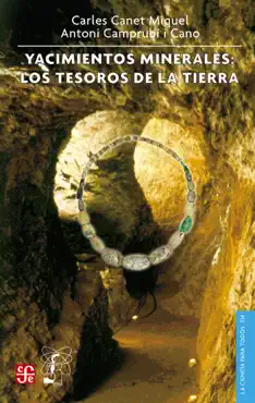 yacimientos minerales imagen de la portada del libro