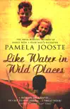 Like Water In Wild Places synopsis, comments