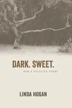 dark. sweet. book cover image