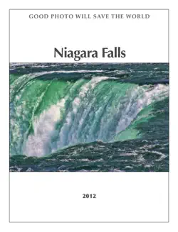 niagara falls imagen de la portada del libro