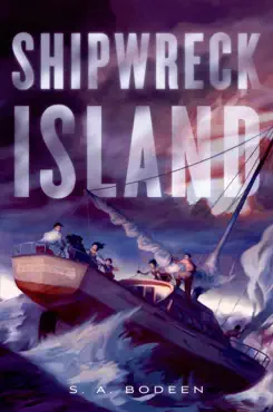 shipwreck island book cover image