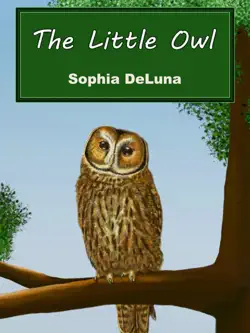 the little owl book cover image