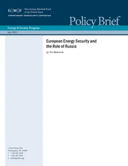 european energy security and the role of russia book cover image