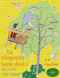 de vliegende bank book cover image