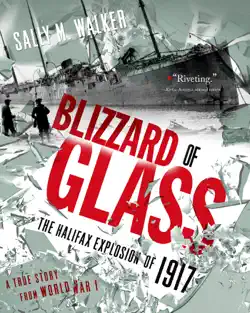 blizzard of glass book cover image