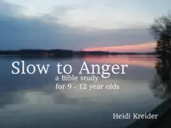 slow to anger book cover image