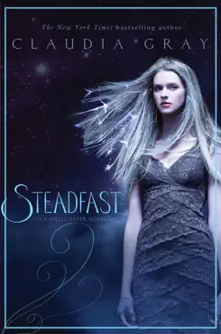 steadfast book cover image