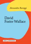 David Foster Wallace synopsis, comments