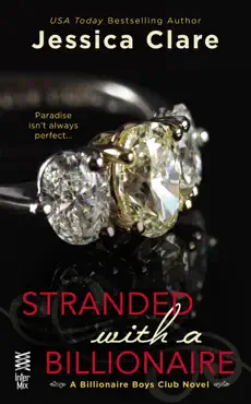 stranded with a billionaire book cover image
