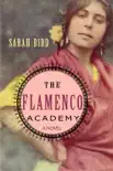 The Flamenco Academy synopsis, comments