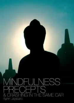 mindfulness, precepts and crashing in the same car book cover image