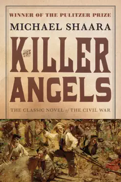 the killer angels book cover image