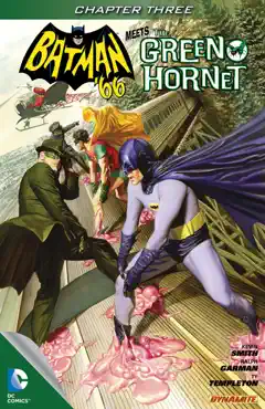batman '66 meets the green hornet (2014-) #2 book cover image